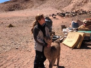 “Los presupuestos de exploración minera se incrementarán entre un 15% y un 20% a medida que la vacuna contra el COVID se extienda a los demás países”