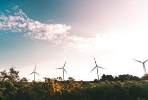 ¿Sostenible o sustentable?