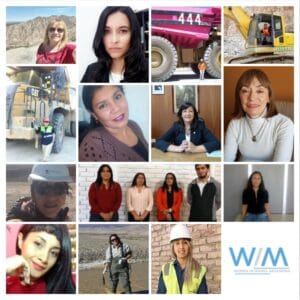 Women in Mining Argentina despide el 2021: El trabajo en conjunto sigue siendo la respuesta